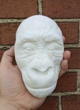 Load image into Gallery viewer, Gorilla: Juvenile Gorilla Face Death cast Life cast