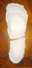 Charger l'image dans la galerie, Clearance / Damaged Bigfoot Patterson "Patty #2" track footprint cast