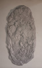 Load image into Gallery viewer, 1967 Patterson / Titmus cast #114-12 Bigfoot print cast