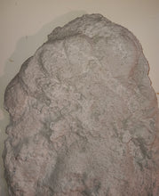 Load image into Gallery viewer, 1967 Patterson / Titmus cast #114-12 Bigfoot print cast
