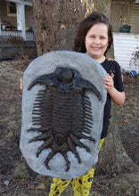 Charger l&#39;image dans la galerie, Terataspis grandis (Giant Trilobite) Cast Replica