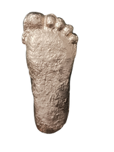 Load image into Gallery viewer, Gold Bigfoot Patterson &quot;Patty&quot; track footprint cast