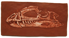 Load image into Gallery viewer, Coelophysis skull cast replica #2