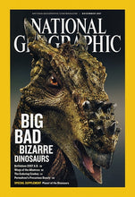 Laden Sie das Bild in den Galerie-Viewer, Dracorex hogwartsia skull cast replica