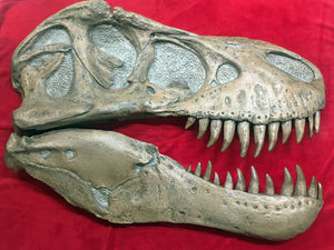 T.rex skull wall mount skull panel