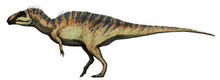 Charger l&#39;image dans la galerie, Acrocanthosaurus atokensis Right Arm - Fossil Replica cast reproduction