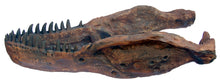 Laden Sie das Bild in den Galerie-Viewer, CSI T.rex skull cast replica
