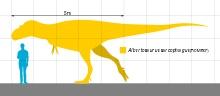 Albertosaurus arm and hand-cast replica reproduction.