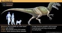 Laden Sie das Bild in den Galerie-Viewer, Allosaurus: Japan Allosaurus Dinosaur Fossil Tooth cast replica figure 10cm