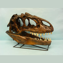 Cargar imagen en el visor de la galería, Allosaurus skull cast replica (no stand) Dinosaur