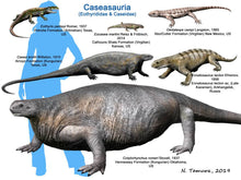 Load image into Gallery viewer, Caseabrioli Fossil Cast foot of Dimetrodon species- Caseabrioli