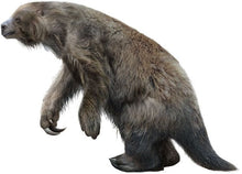 Cargar imagen en el visor de la galería, Eremotherium Ground Sloth claw cast replica