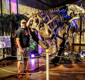 T-rex: Ivan the T.rex skeleton cast replica