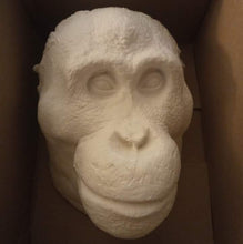 Charger l&#39;image dans la galerie, Orangutan Death Mask #1 Orangutan (female) death cast replica Life cast