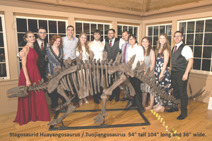 Stegosaurus skeleton cast replica #1