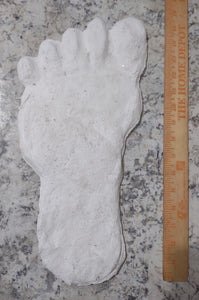 19xx Alma Footprint track cast from Russia Cryptozoology AlmastyAlmas Footprint BIGFOOT