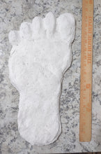Cargar imagen en el visor de la galería, 19xx Alma Footprint track cast from Russia Cryptozoology AlmastyAlmas Footprint BIGFOOT