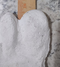 Load image into Gallery viewer, 19xx Alma Footprint track cast from Russia Cryptozoology AlmastyAlmas Footprint BIGFOOT