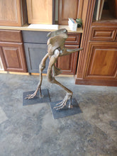 Load image into Gallery viewer, Rental item: Herrerasaurus skeleton cast replica dinosaur for rent