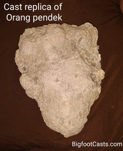 2013(?) Orang Pendek #5 footprint cast replica #5