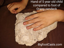 Charger l&#39;image dans la galerie, 2013(?) Orang Pendek #5 footprint cast replica #5