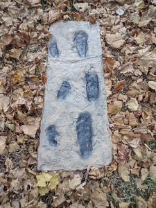 Laetoli Hominid Footprint tracks (6 tracks) impression casts