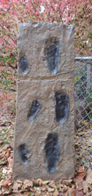 Charger l&#39;image dans la galerie, Laetoli Hominid Footprint tracks (6 tracks) impression casts