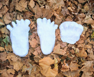 1984 Paul Freeman's "Wrinkle Foot" cast  "A" Bigfoot Sasquatch footprint track cast replicas