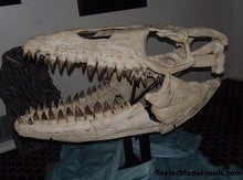Load image into Gallery viewer, Mosasaurus Skull cast replica Prognathon with stand