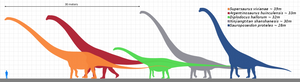 Sauropod: Argentinasaurus Vertebra cast replica Dinosaur