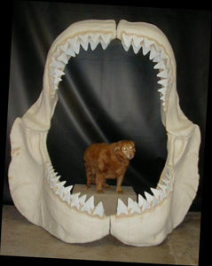 Megalodon Jaw cast replica #1