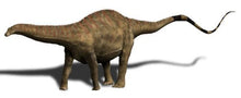 Cargar imagen en el visor de la galería, Dinosaur 4 Tooth &amp; Claw Cast Collection Triceratops: Large Triceratops Tooth cast replica with root