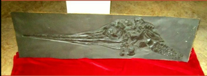 Ichtyosaurus cast Excalibosaurus marine reptile (TMF ICHTY 2)