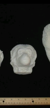 Laden Sie das Bild in den Galerie-Viewer, Gibbon death cast replica Life cast death mask