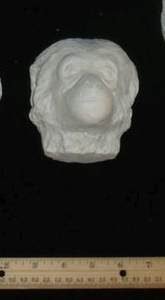 Gibbon death cast replica Life cast death mask