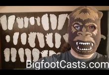 Laden Sie das Bild in den Galerie-Viewer, 1960 Bigfoot cast Peter Byrne Bigfoot print cast