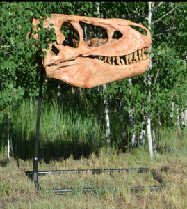 Deposit for Paul Tarbosaurus skull cast replica TMF