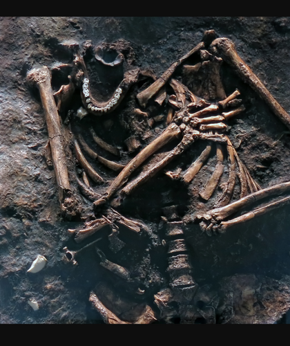 Neanderthal Skeleton Cast replica Kebara 2 Hominid