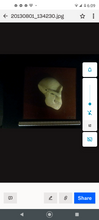 画像をギャラリービューアに読み込む, Aegyptopithecus profile skull cast replica Hominid skull cast replicas