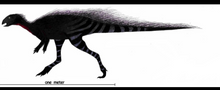 Load image into Gallery viewer, Rent a Dinosaur: Othneilia Nanosaurus rex dinosaur skeleton cast replica