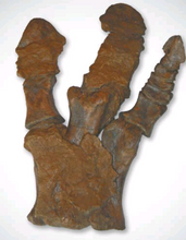 Laden Sie das Bild in den Galerie-Viewer, Hadrosaurus:. Mary Ann the Hadrosaur