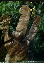 Cargar imagen en el visor de la galería, Hadrosaurus:. Mary Ann the Hadrosaur