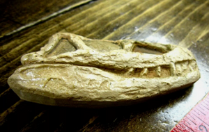Euparkeria Archosaur skull cast replica SAM-PK-5867