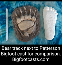 画像をギャラリービューアに読み込む, 1967 Bigfoot Patterson &quot;Patty&quot; track footprint cast