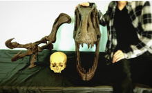 Laden Sie das Bild in den Galerie-Viewer, Allosaurus Arm Cast Replica (Mounted)
