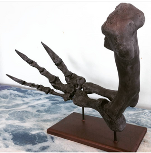 Allosaurus Arm Cast Replica (Mounted)