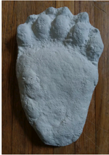 Laden Sie das Bild in den Galerie-Viewer, Bear: Adult Black Bear footprint cast replica