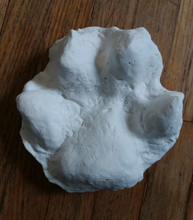 Load image into Gallery viewer, Wolf footprint cast replica