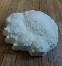 画像をギャラリービューアに読み込む, Bear: Footprint Adult Polar Bear footprint cast replica