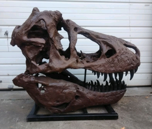 T.rex skull cast replica 1
